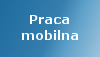 Comarch ERP XL - Praca mobilna